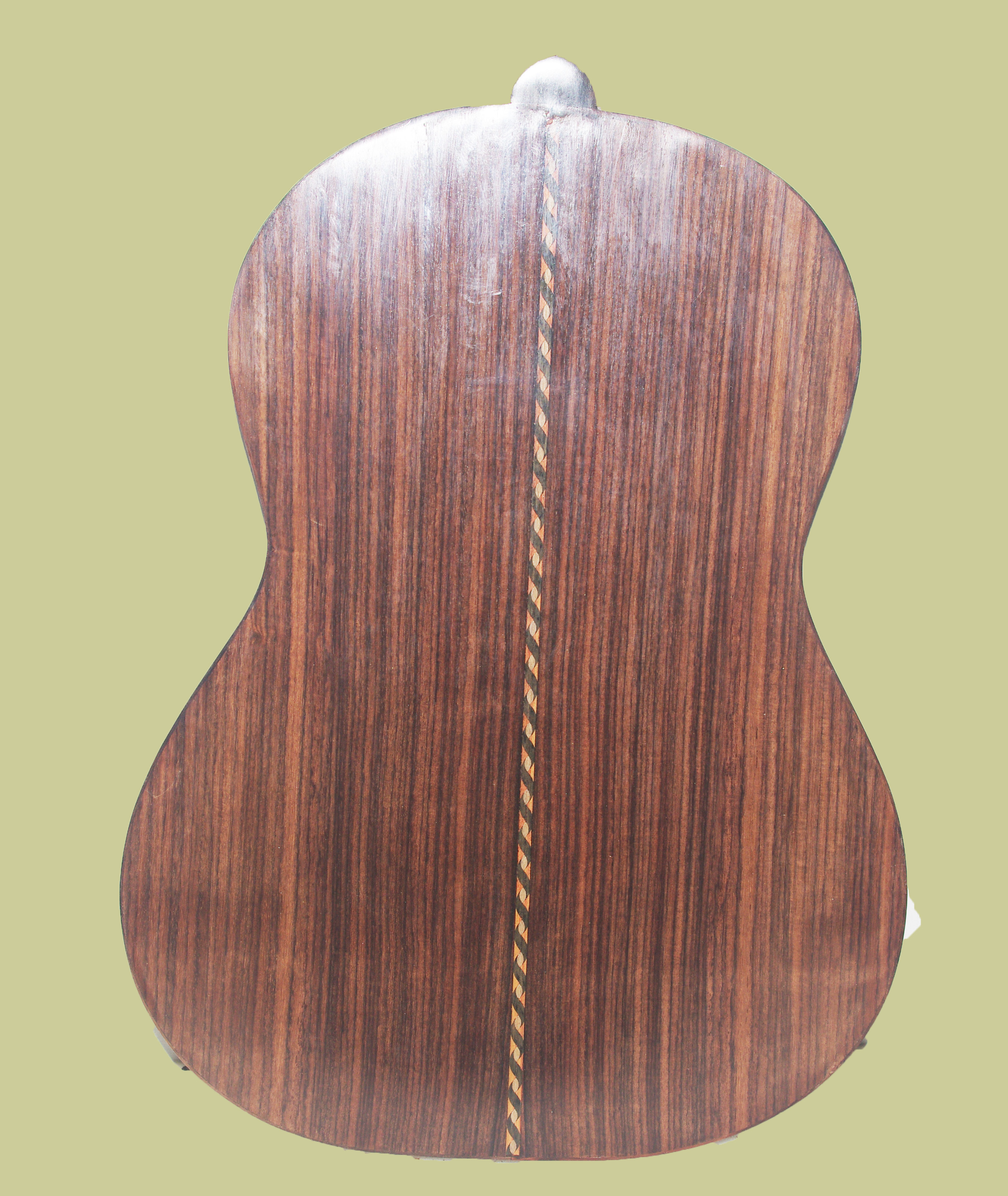 thompson24 back